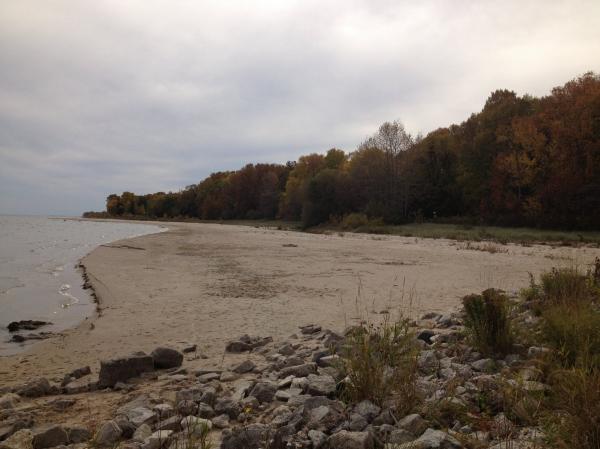 Lake Michighan Shoreline on a cloudy day