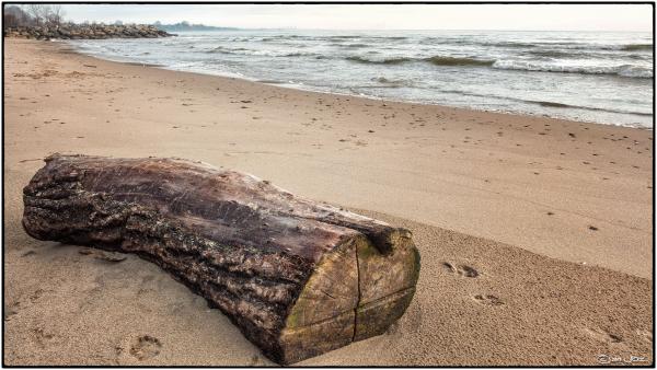 Lake Ontario, Mississauga