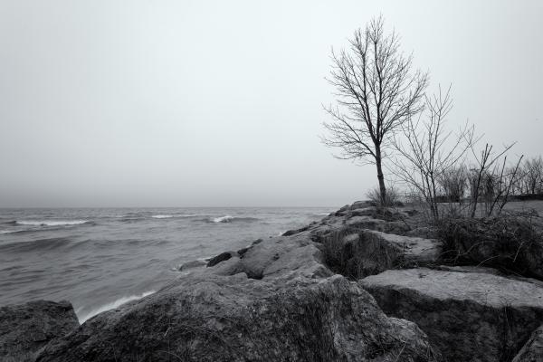 Lake Ontario shoreline