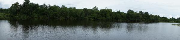 Lake Panorama