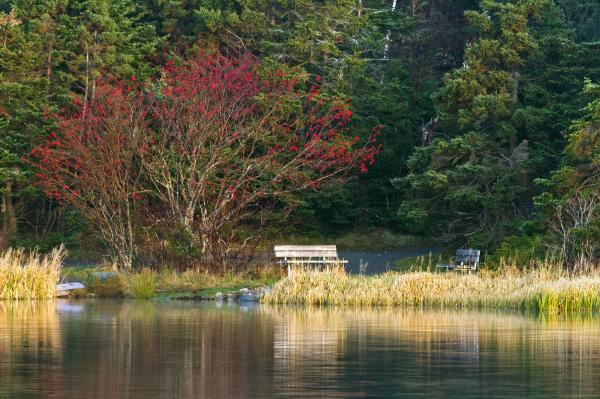 Lake reflection
