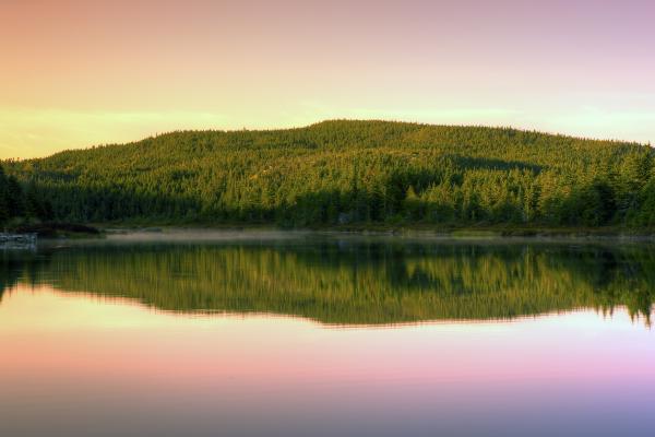 Lake Reflection