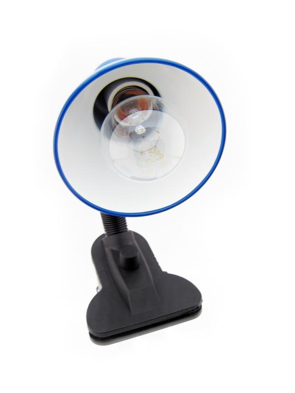 Lamp