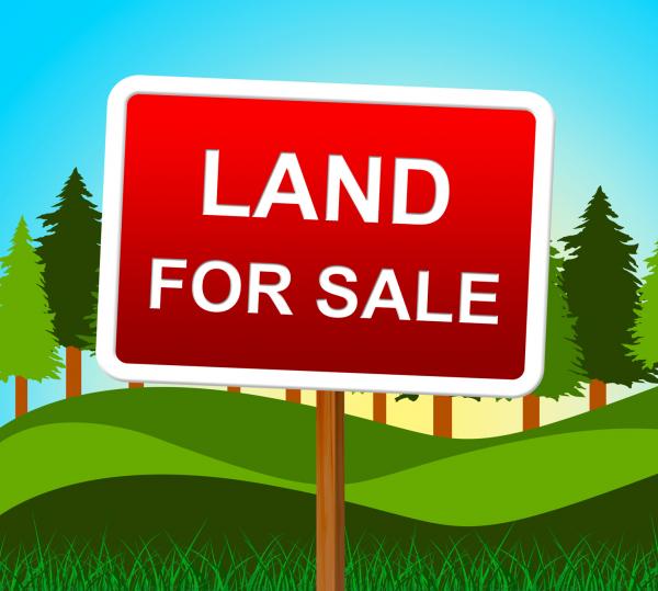 Land For Sale Means Real Estate Agent And House