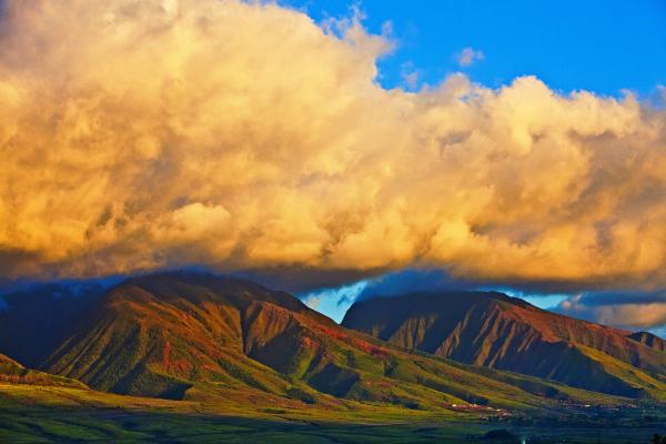 Landscape