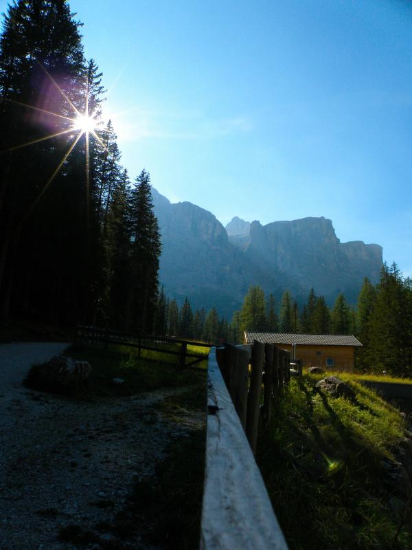 Landscape