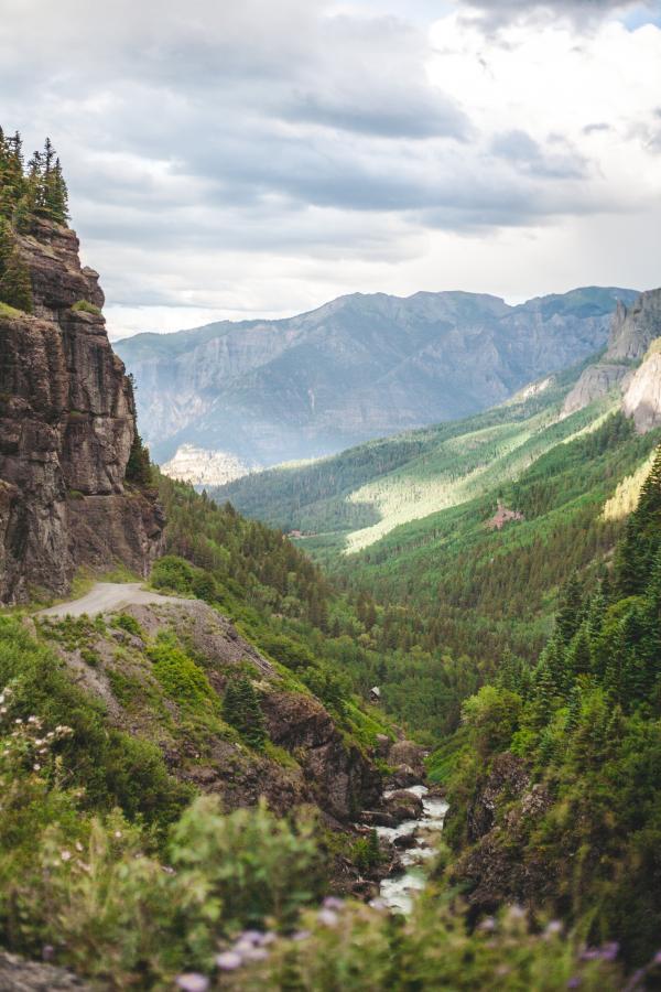 Landscape