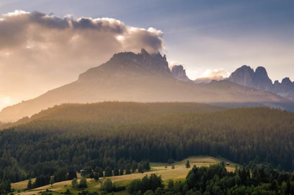 Landscape
