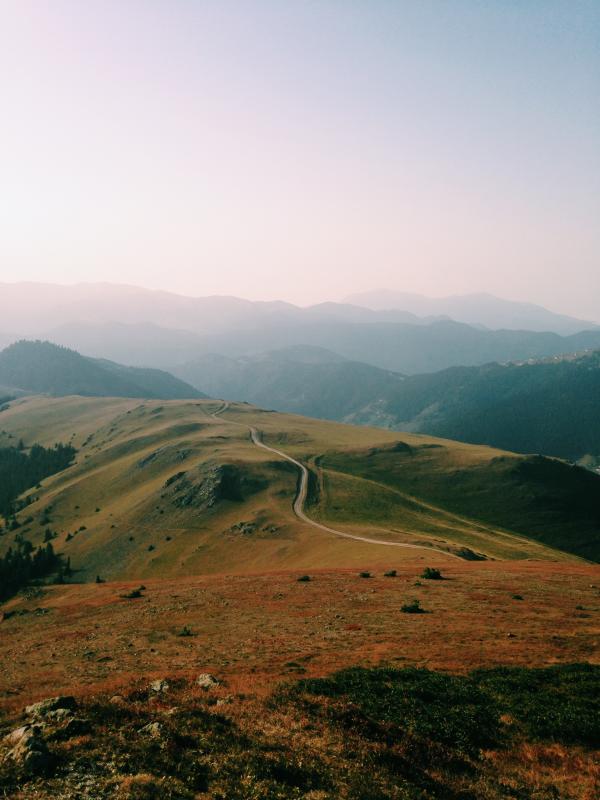 Landscape