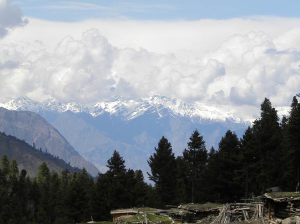 Landscape
