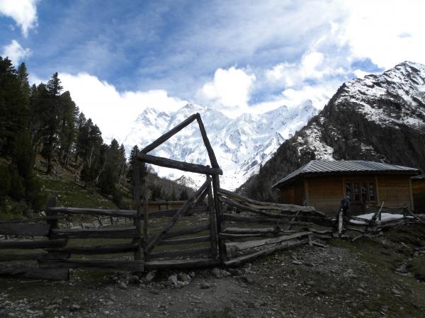 Landscape