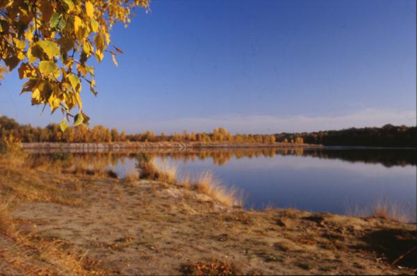 Landscape