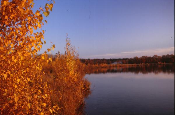 Landscape