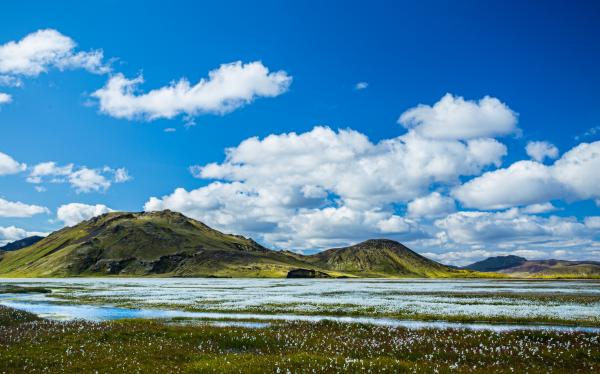 Landscape
