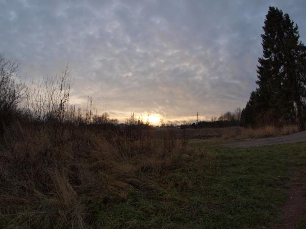 Landscape