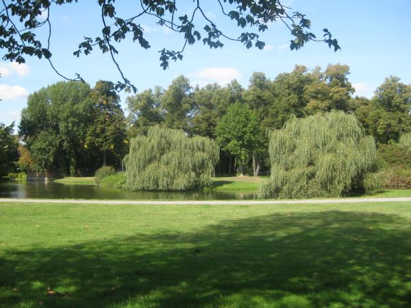 Landscape