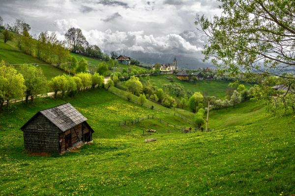 Landscape from Transilvania