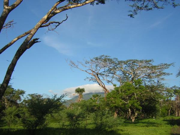 Landscape of Grassland