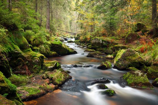 River Landscape