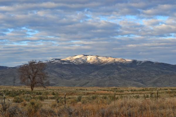Landscape Photo of Mountain