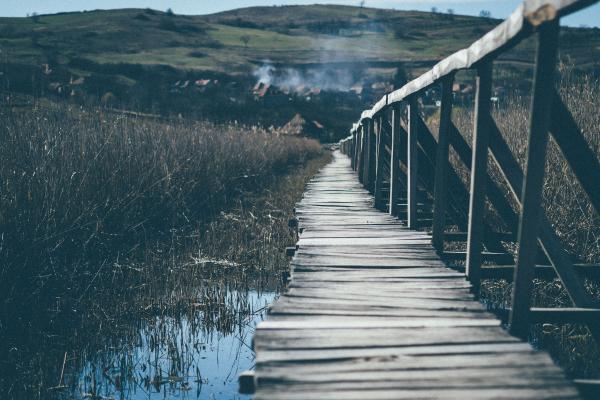 Landscape Photograph of Wooden Bridge Going Up the Mountain