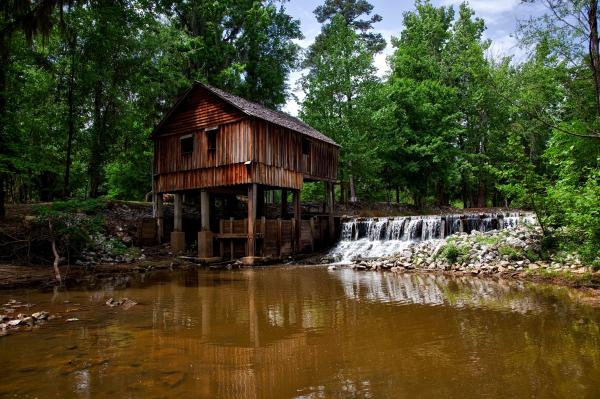Landscape Photography of Brown Wooden House on Forest Near River