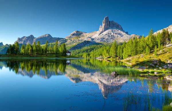 Landscape Photography of White Mountain