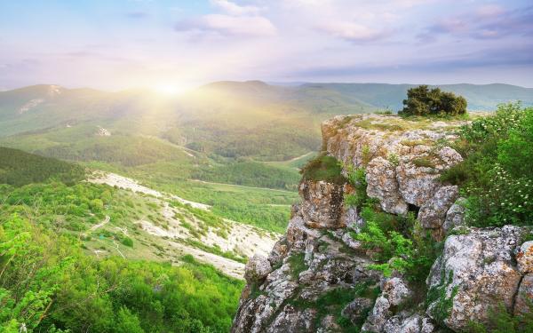 Landscape View