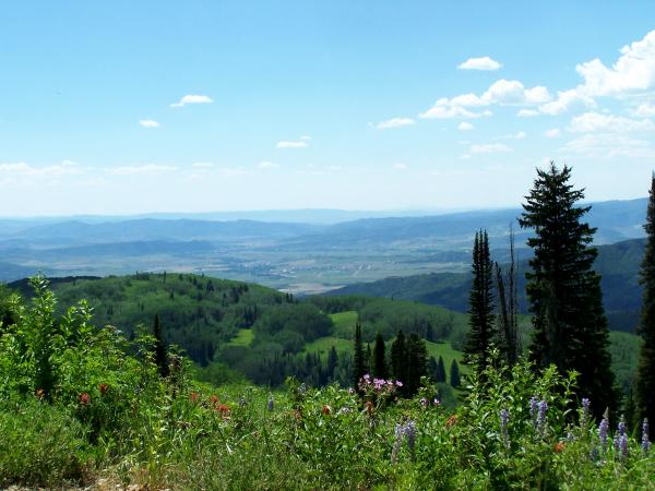 Landscpe