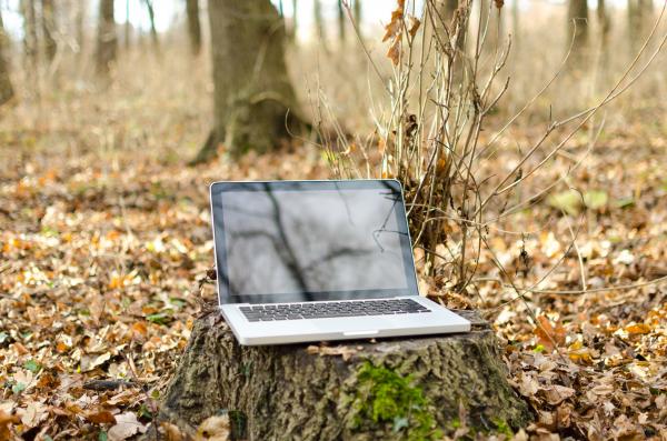 Laptop in Autumn Forest