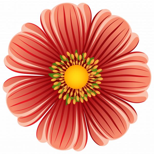 Large Flower