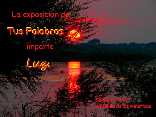 Las Palabras de Dios dan Luz