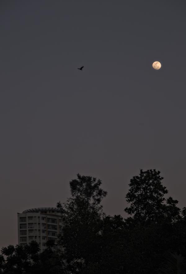 Last moon of 2017