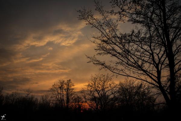 Late spring evening