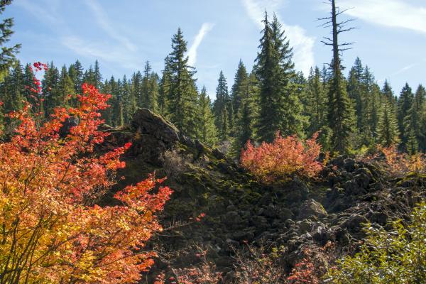 Lava Rocks by Clear Lake, Oregon