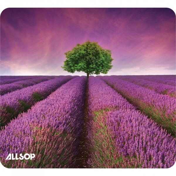 Lavender Field