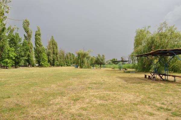 Lawn