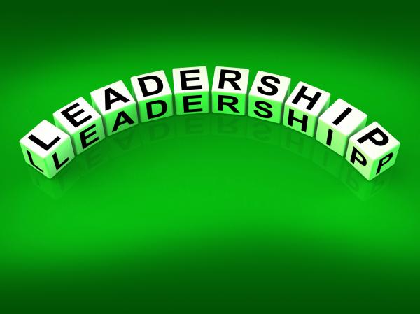 Leadership Dice Mean Guidance Influence And Management