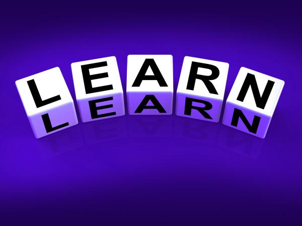 Learn Blocks Show Education Studying and Learning