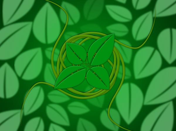 Leaves Floral Shows Bloom Florals And Environmental