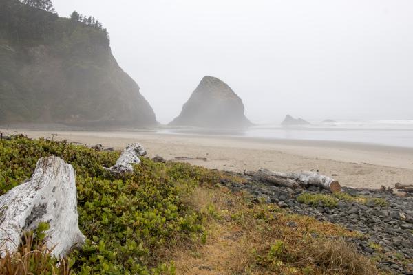 Leech Lane Beach Oregon