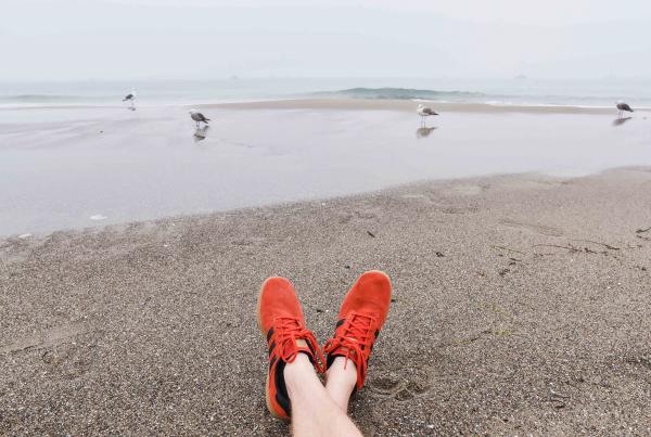Legs at the seashore, seagulls in the background