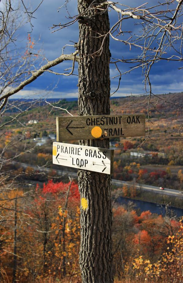 Lehigh Gap Nature Center (Revisited) (5)