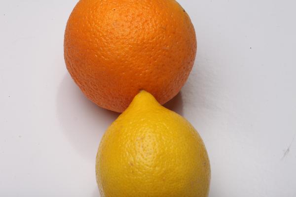 Lemon and Orange Isolated on white
