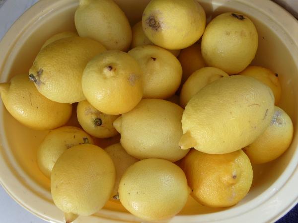 Lemons
