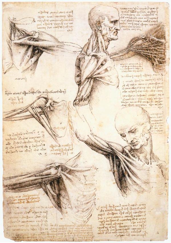 Leonardo da Vinci Artwork