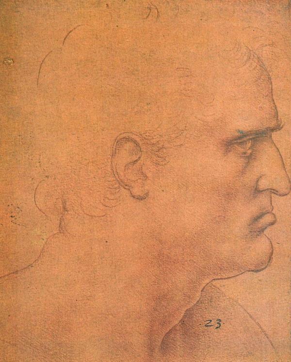 Leonardo da Vinci Artwork