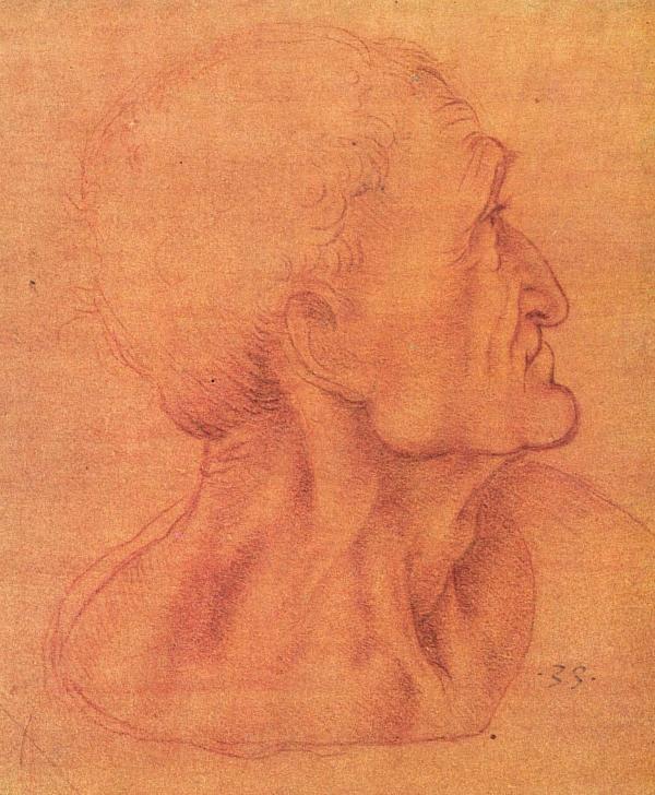 Leonardo da Vinci Artwork