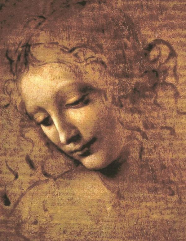 Leonardo da Vinci Artwork