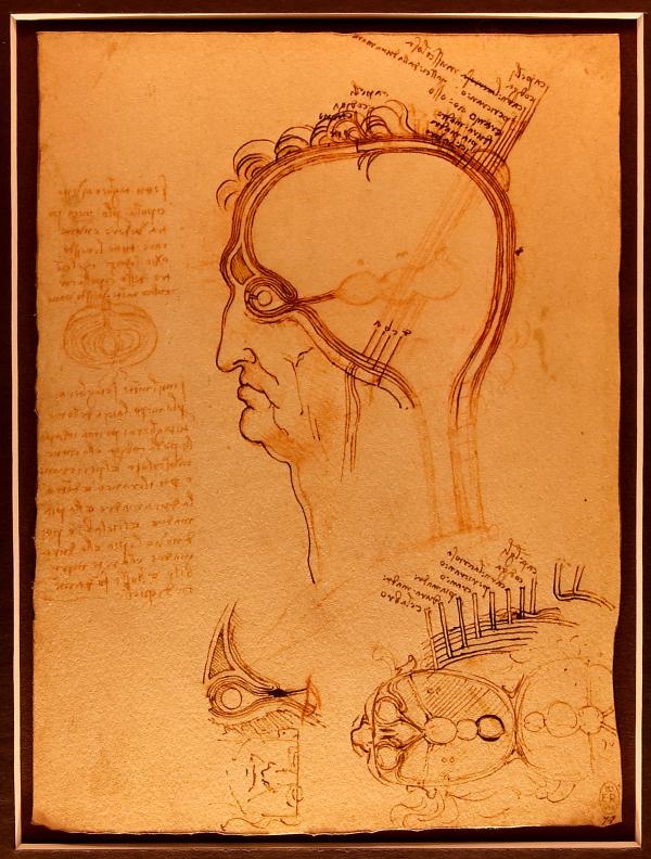 Leonardo da Vinci Artwork